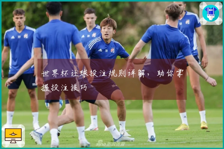 世界杯让球投注规则详解，助你掌握投注技巧