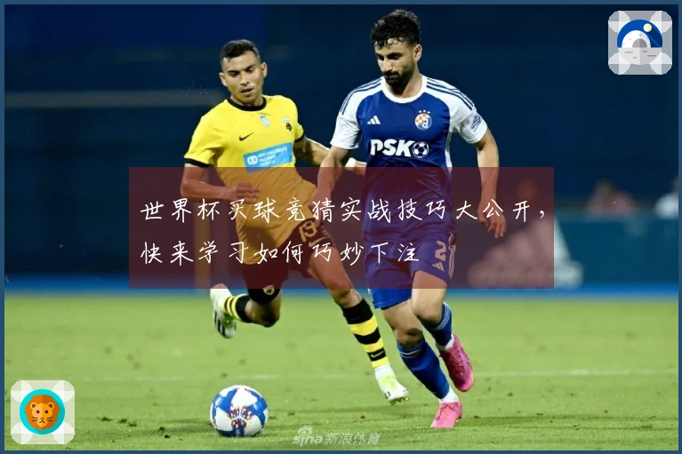 世界杯买球竞猜实战技巧大公开，快来学习如何巧妙下注