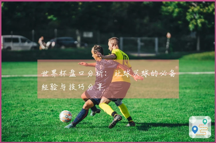 世界杯盘口分析：让球买球的必备经验与技巧分享